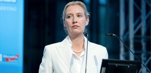 AfD bestätigt Hackerangriff auf E-Mail-Konten