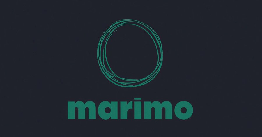 Attack on Marimo Network by LLM Agent