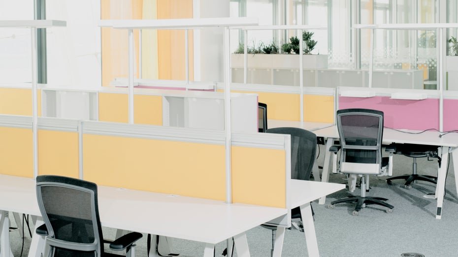 Berufseinsteiger in Deutschland und KI-Herausforderungen