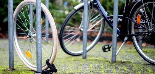 Bike Thieves Stream Theft and Get Caught