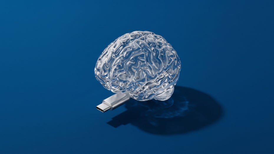 Research on the Immortality of the Mind