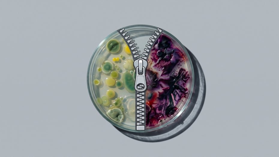 Dangers of Mirror Image Bacteria in Research