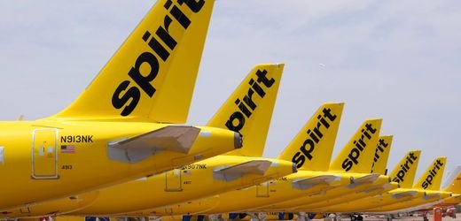 Google Acquires Data from Spirit Airlines for AI Development