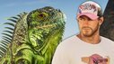 GTA 6: 170 Tierarten im Spiel
