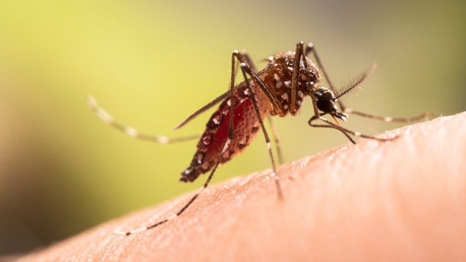 AI-Powered Laser System Developed for Mosquito Defense