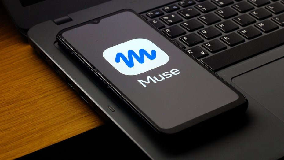 Meta Suspends Sharing Feature After Data Leak