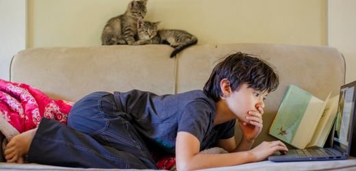 Microsoft 365 Family: Price Increase for Subscribers