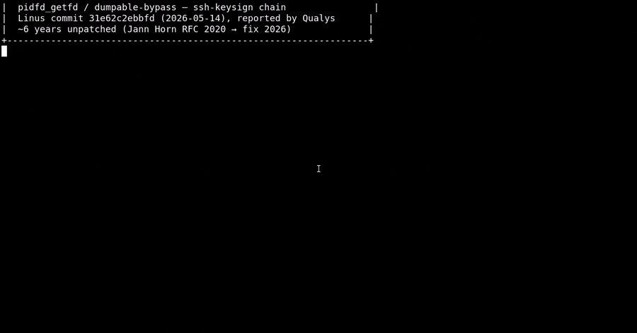 Neun Jahre unentdeckte Schwachstelle im Linux-Kernel