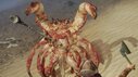 Path of Exile 2: Crab as the Deadliest Opponent