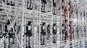 UBTech Opens Largest Factory for Humanoid Robots