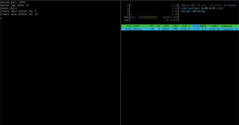 XRING Security Vulnerability Discovered in XQUIC