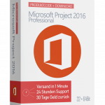 project_2016_professional_cover
