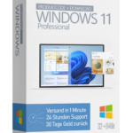 Windows_11_professional_cover-1