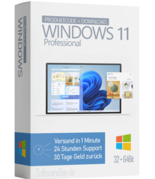 Microsoft Windows 11 Professional | Echtzeitversand
